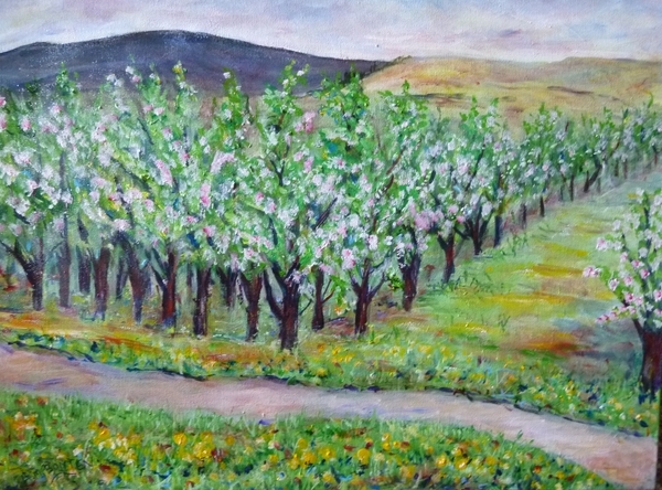 "Basran Orchard"