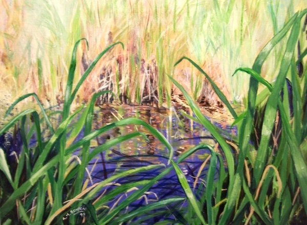 Marshland